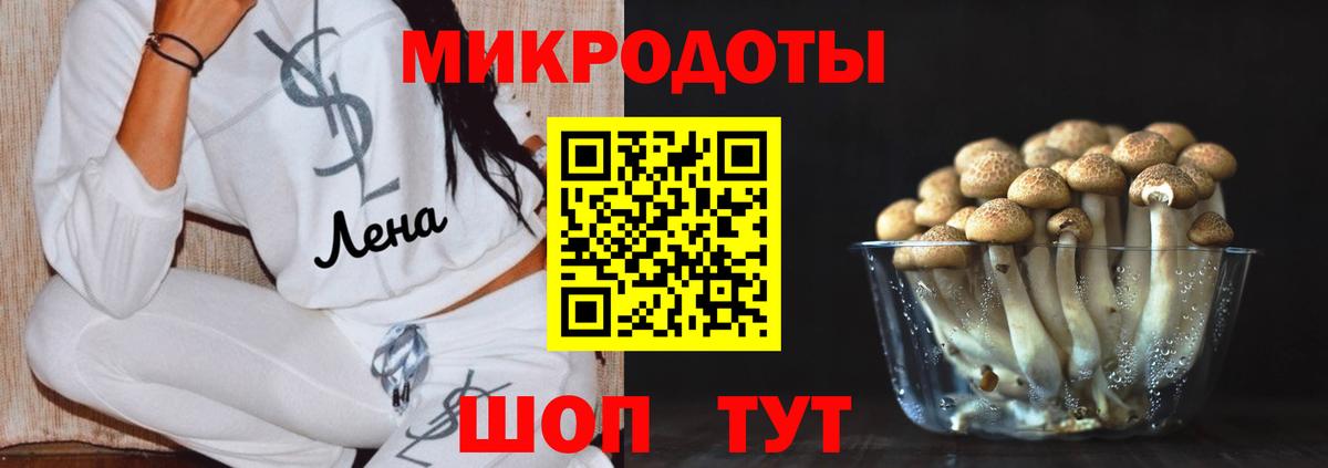 Сафоново  Галлюциногенные грибы MAGIC MUSHROOMS  Галлюциногенные грибы Cubensis  дарнет шоп  Вход с VPN 